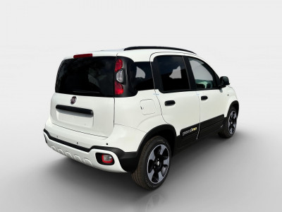 Fiat Panda Gebrauchtwagen Fiat Panda Gebrauchtwagen