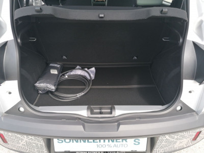 Dacia Spring Vorführwagen