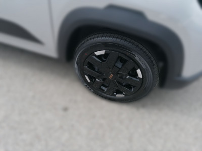 Dacia Spring Vorführwagen