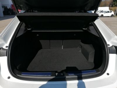 Renault Rafale Vorführwagen