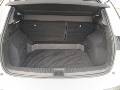 Renault Austral Vorführwagen