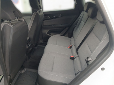 Renault Austral Vorführwagen