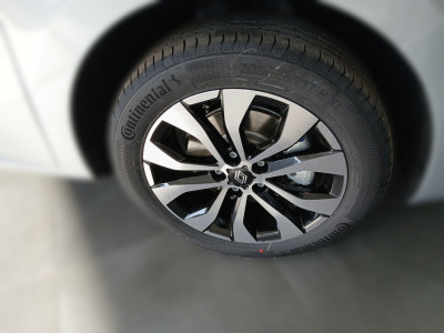 Renault Kangoo Tageszulassung