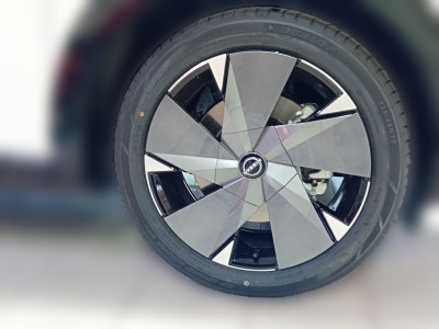 Nissan Ariya Tageszulassung