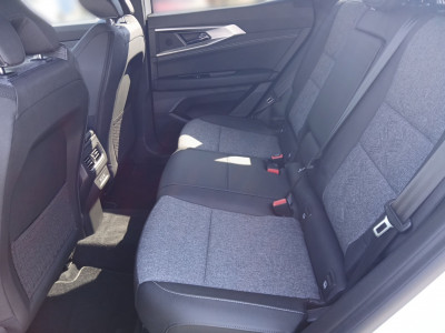 Renault Austral Gebrauchtwagen