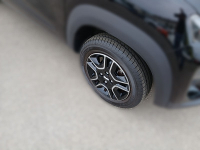 Dacia Spring Gebrauchtwagen