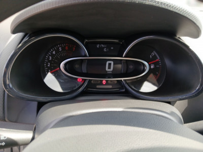 Renault Clio Gebrauchtwagen