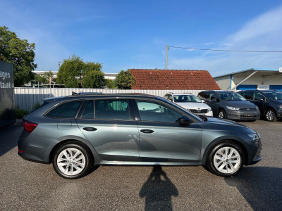 Skoda Octavia Gebrauchtwagen