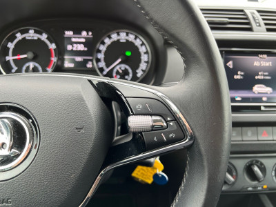 Skoda Fabia Gebrauchtwagen