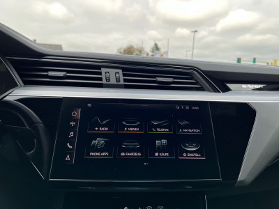 Audi Q8 e-tron Gebrauchtwagen