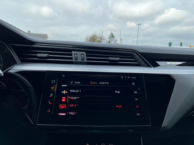 Audi Q8 e-tron Gebrauchtwagen