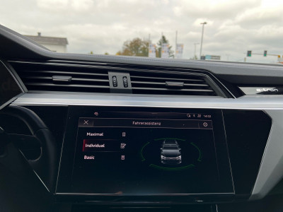 Audi Q8 e-tron Gebrauchtwagen