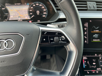 Audi Q8 e-tron Gebrauchtwagen