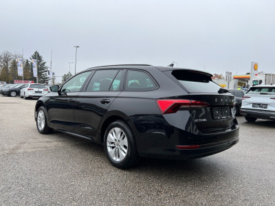 Skoda Octavia Gebrauchtwagen