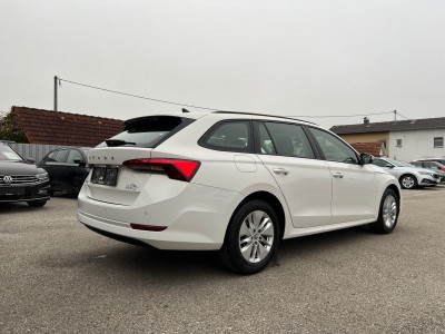Skoda Octavia Gebrauchtwagen