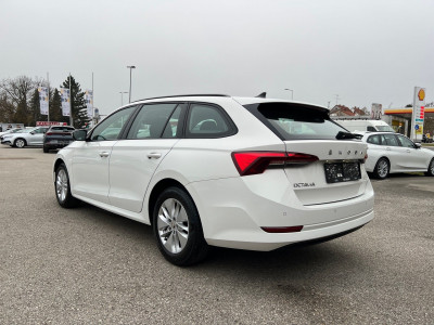 Skoda Octavia Gebrauchtwagen