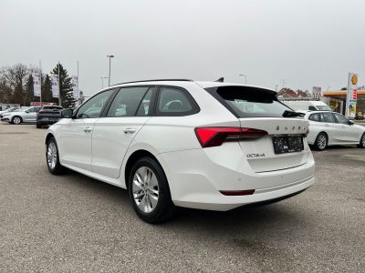 Skoda Octavia Gebrauchtwagen