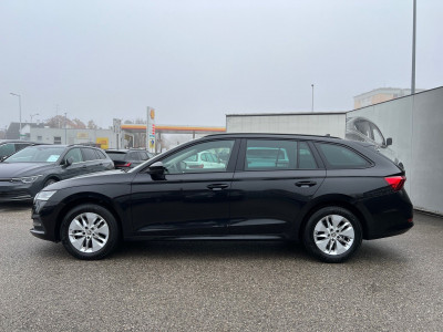 Skoda Octavia Gebrauchtwagen