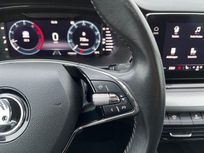 Skoda Octavia Gebrauchtwagen Skoda Octavia Gebrauchtwagen