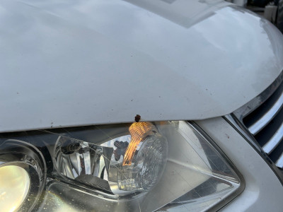 VW Touran Gebrauchtwagen VW Touran Gebrauchtwagen