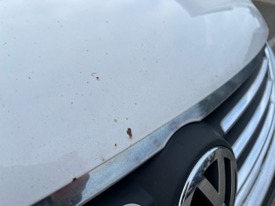 VW Touran Gebrauchtwagen VW Touran Gebrauchtwagen