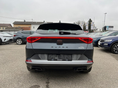 Cupra Formentor Gebrauchtwagen