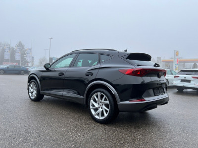 Cupra Formentor Gebrauchtwagen Cupra Formentor Gebrauchtwagen