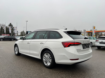 Skoda Octavia Gebrauchtwagen Skoda Octavia Gebrauchtwagen