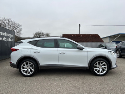 Cupra Formentor Gebrauchtwagen Cupra Formentor Gebrauchtwagen