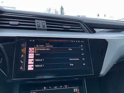 Audi Q8 e-tron Gebrauchtwagen