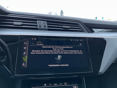 Audi Q8 e-tron Gebrauchtwagen