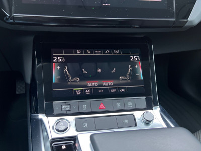 Audi Q8 e-tron Gebrauchtwagen