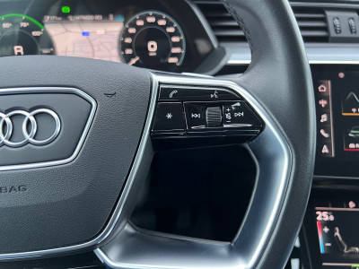 Audi Q8 e-tron Gebrauchtwagen