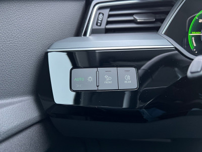 Audi Q8 e-tron Gebrauchtwagen