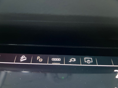 Audi Q8 e-tron Gebrauchtwagen