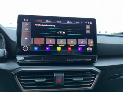 Cupra Formentor Gebrauchtwagen