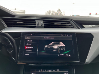 Audi Q8 e-tron Gebrauchtwagen