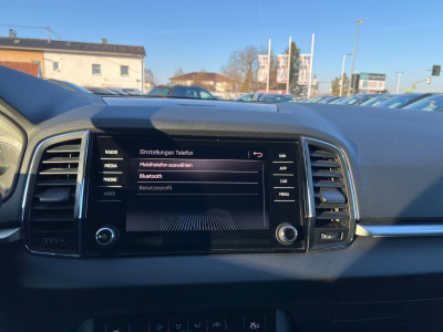 Skoda Karoq Gebrauchtwagen