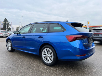 Skoda Octavia Gebrauchtwagen
