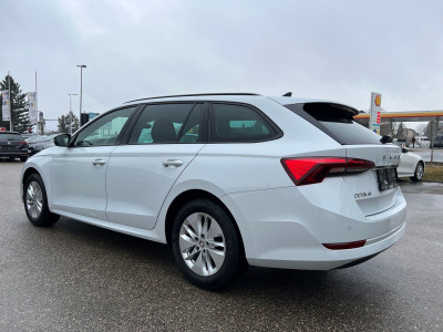 Skoda Octavia Gebrauchtwagen