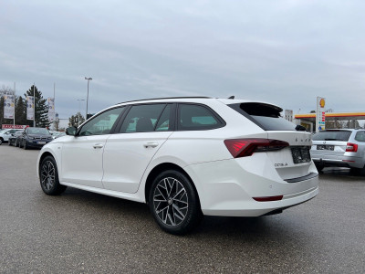 Skoda Octavia Gebrauchtwagen