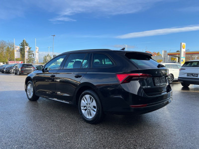 Skoda Octavia Gebrauchtwagen