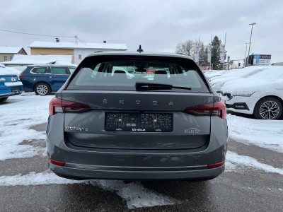 Skoda Octavia Gebrauchtwagen