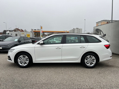 Skoda Octavia Gebrauchtwagen