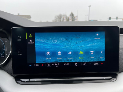 Skoda Octavia Gebrauchtwagen