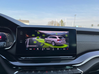 Skoda Octavia Gebrauchtwagen