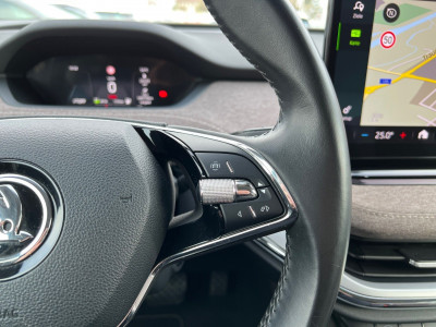 Skoda Enyaq Gebrauchtwagen