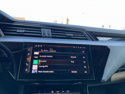 Audi Q8 e-tron Gebrauchtwagen