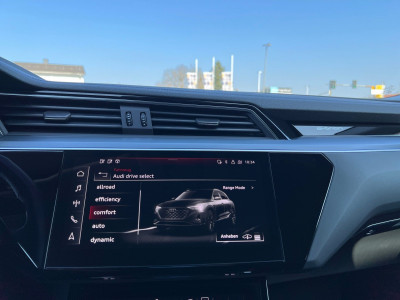 Audi Q8 e-tron Gebrauchtwagen