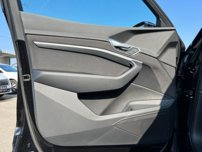 Audi Q8 e-tron Gebrauchtwagen